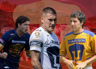 Las exportaciones de Pumas a Europa en los últimos 15 años