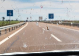¿Por qué cada vez se estrellan menos insectos en las parrillas, defensas y parabrisas de los automóviles?