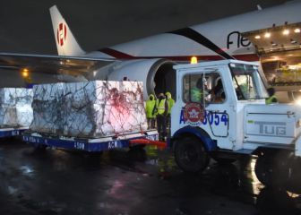 Arriban a México más de 643 mil dosis de Pfizer