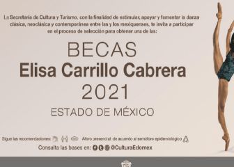 Convocatoria de la Beca Elisa Carrillo 2021