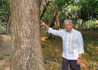 AMLO asegura que declaratoria del COP26 se inspiró en ‘Sembrando Vida’