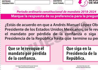 El próximo año se realizará la Revocación de Mandato