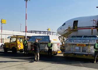 México recibe nuevo embarque de vacunas envasadas Pfizer