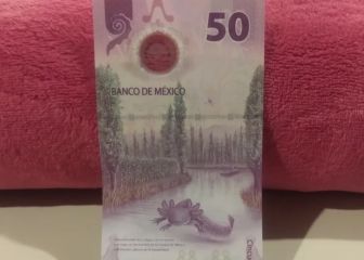 El billete de 50 pesos que buscan en Guadalajara y se oferta en Internet