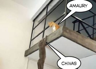 Los mejores memes de la eliminación de Chivas