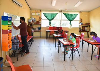 Así podrás consultar las boletas de calificaciones