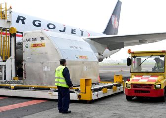 Llegan a México 585 mil vacunas envasadas de Pfizer