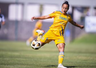 Diputado panista emite exhorto para disminuir brecha salarial el Liga MX Femenil