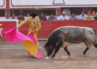 Comisiones avalan prohibir corridas de toros en CDXM