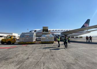 Arriban a México más de 500 mil vacunas envasadas de Pfizer