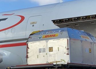 México recibe nuevo embarque con 585 mil vacunas Pfizer