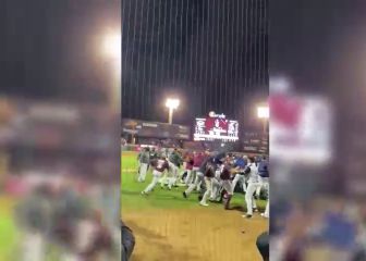 ¡Inadmisible! En bronca entre Tomateros y Algodoneros, aficionado agredió a un jugador