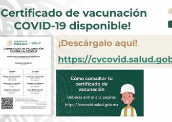 Certificado COVID-19: cómo descargarlo de forma gratuita y dónde hacerlo