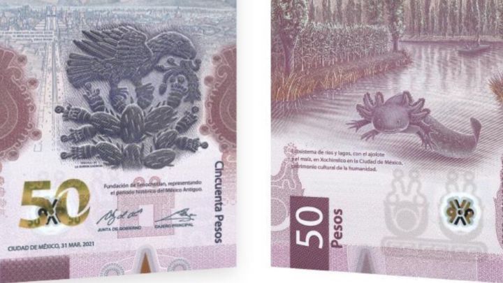 Los sorprendentes billetes de 50 pesos que se venden por $45.000