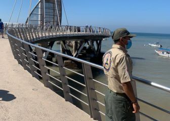 Tsunami en Tonga provoca actividades inusuales en costas de México
