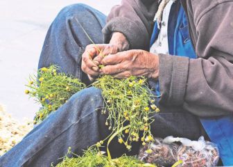 ¿Hay remedios caseros que pueden ayudar contra el Covid-19 Omicron?