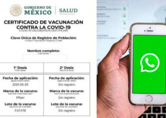 Así podrás descargar el certificado de vacunación Covid desde WhatsApp