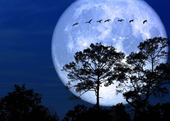 La Luna de Nieve incrementará el amor y deseo en Leo y Acuario