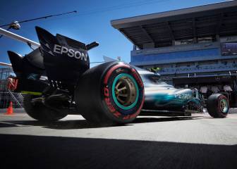 Mercedes está aprendiendo a ser cazador sin 