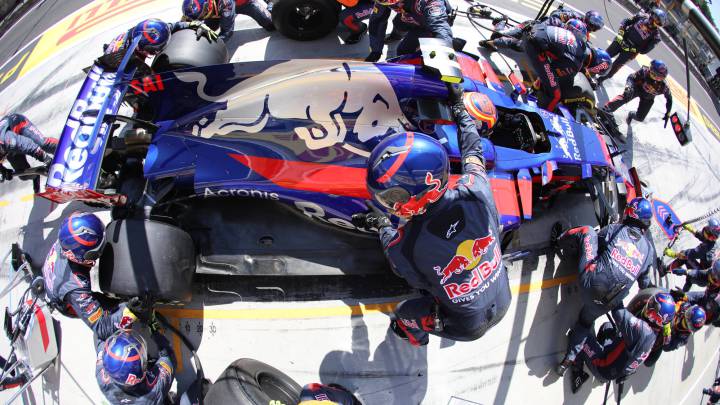 Sainz: "Mi único objetivo es ser piloto de Red Bull en el futuro"