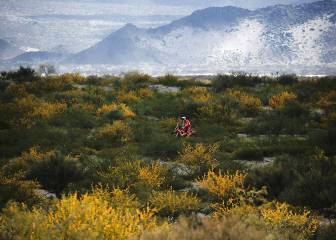 La undécima etapa del Dakar en imágenes