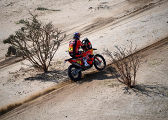 Brabec paga, Price recoge