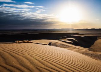 Resultados Dakar 2022: clasificación de la novena etapa