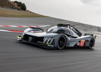 El león está listo para rugir