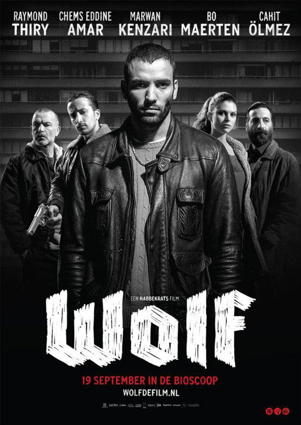 Wolf (2013).