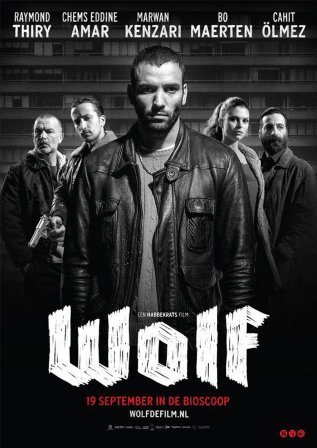 Wolf (2013).