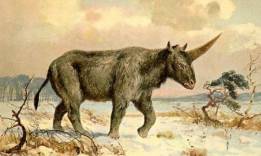 Unicornios y humanos coexistieron hace 29.000 años