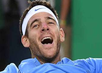 Del Potro, de su encierro en un ascensor a las lágrimas de Djokovic