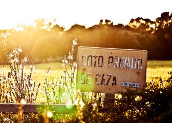 Bienvenidos a Susurros del campo, el blog de caza de AS