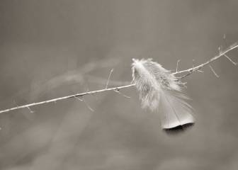 Un juego que marca serias diferencias