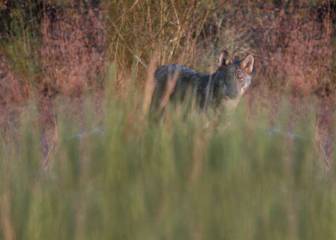 Momentos de un instante