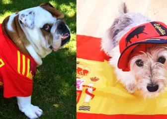 ¡Las mascotas de Instagram están con La Roja!