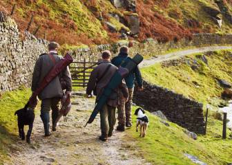 Y vuelta la burra al trigo…