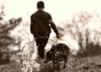 Nuestro perro de caza en veda