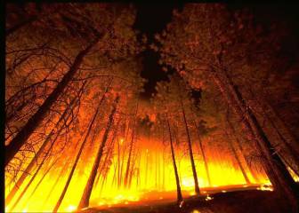 Los cazadores pieza clave para la prevención de incendios forestales
