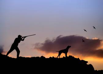 La riqueza de la caza