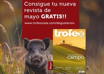 Como agua de mayo…