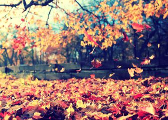 Campos vestidos de otoño