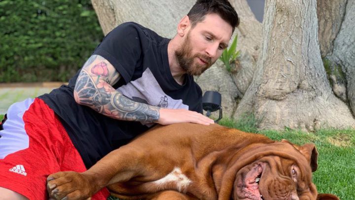 Leo Messi con uno de sus perros.
