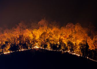 El papel del cazador en los incendios