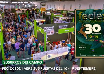 Feciex: caza, pesca y naturaleza