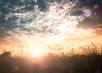 Nos sobran los motivos