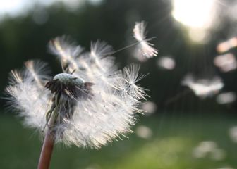 Llega la primavera: Formas de entrenar si sufres de alergia