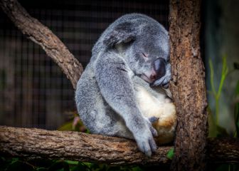 ¿Problemas para conciliar el sueño? Aprende a desconectar tu mente