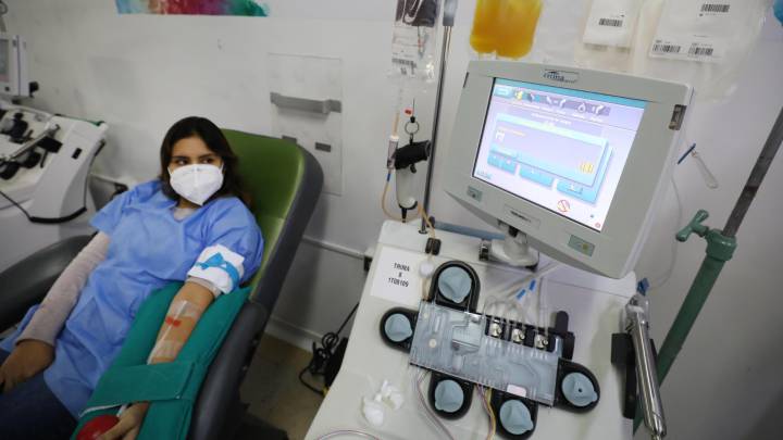 Coronavirus en Perú: ¿es efectivo el uso de plasma convaleciente para tratar el virus?