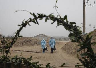 Coronavirus Perú, en vivo: 750.098 casos y 31.146 muertes